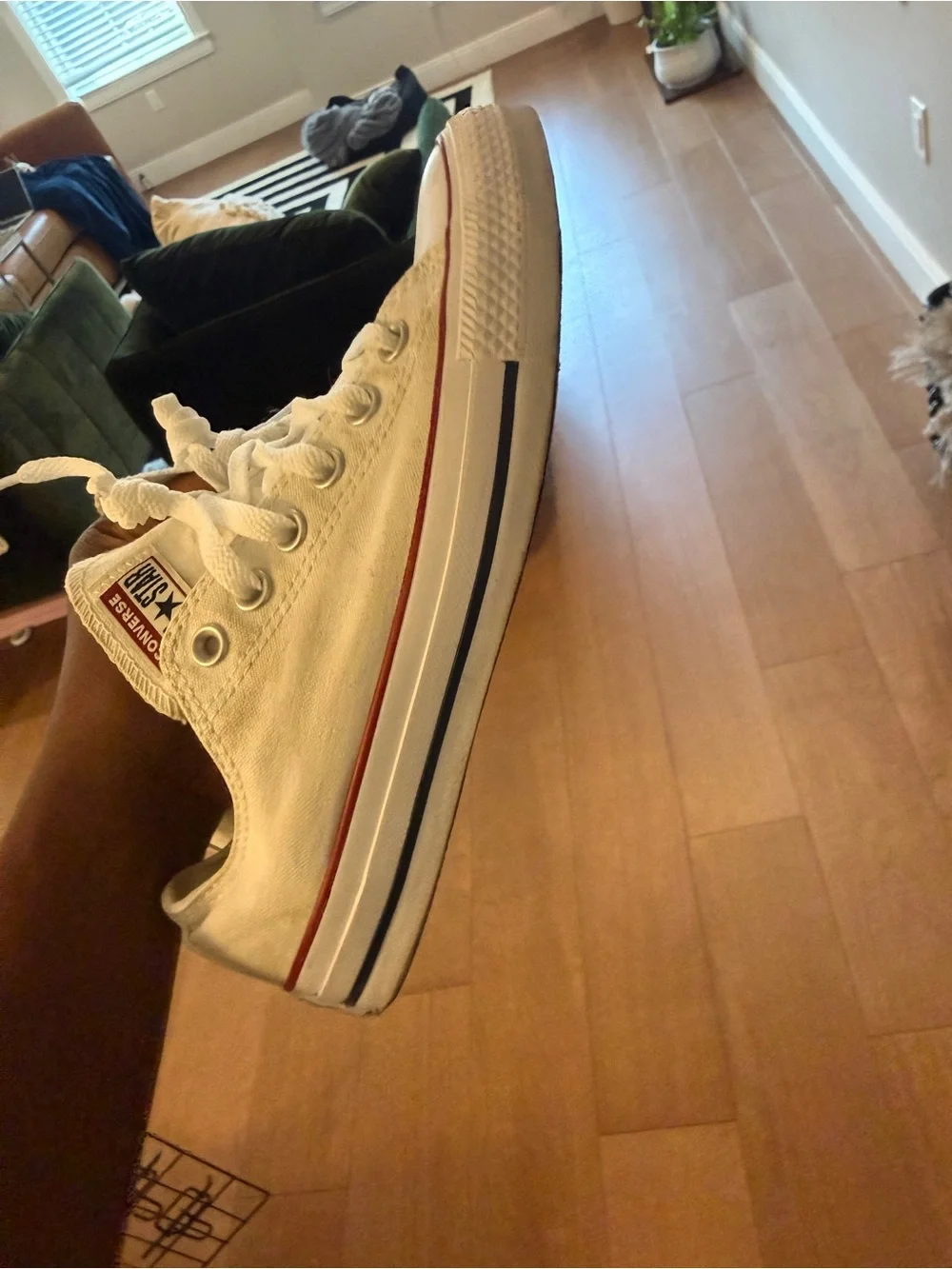 Converse low top